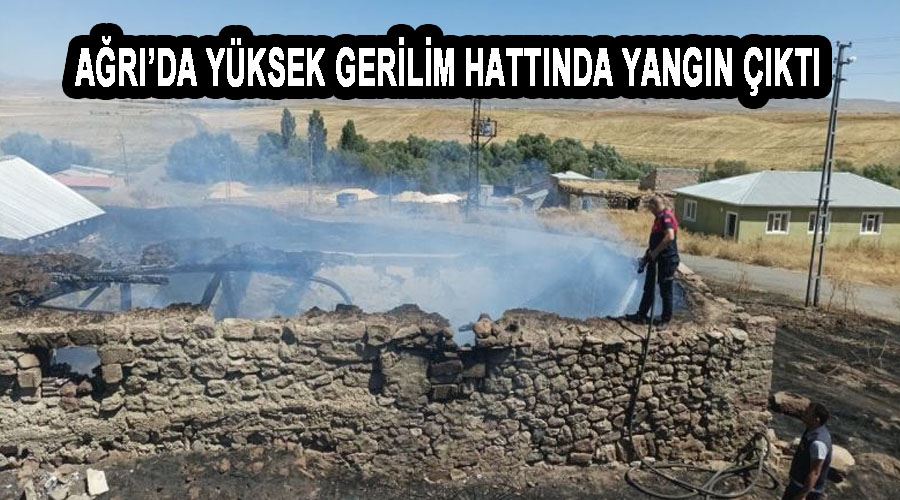 Ağrı’da yüksek gerilim hattında yangın çıktı