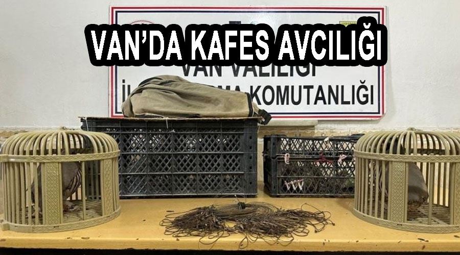 Van’da kafes avcılığı