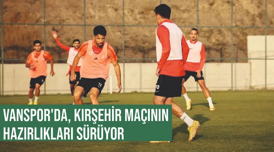 Vanspor