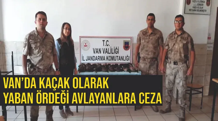 Van’da kaçak olarak yaban ördeği avlayanlara ceza