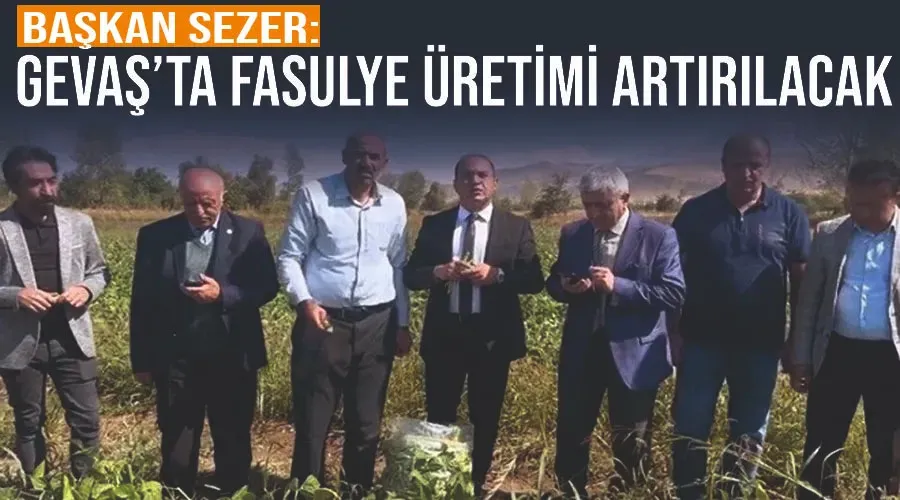 Başkan Sezer: Gevaş’ta fasulye üretimi artırılacak