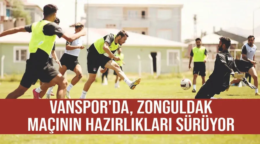 Vanspor