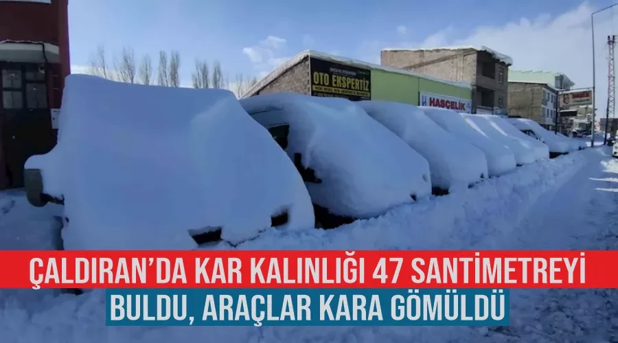 Çaldıran’da kar kalınlığı 47 santimetreyi buldu, araçlar kara gömüldü