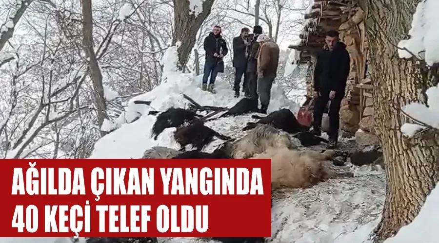 Ağılda çıkan yangında 40 keçi telef oldu