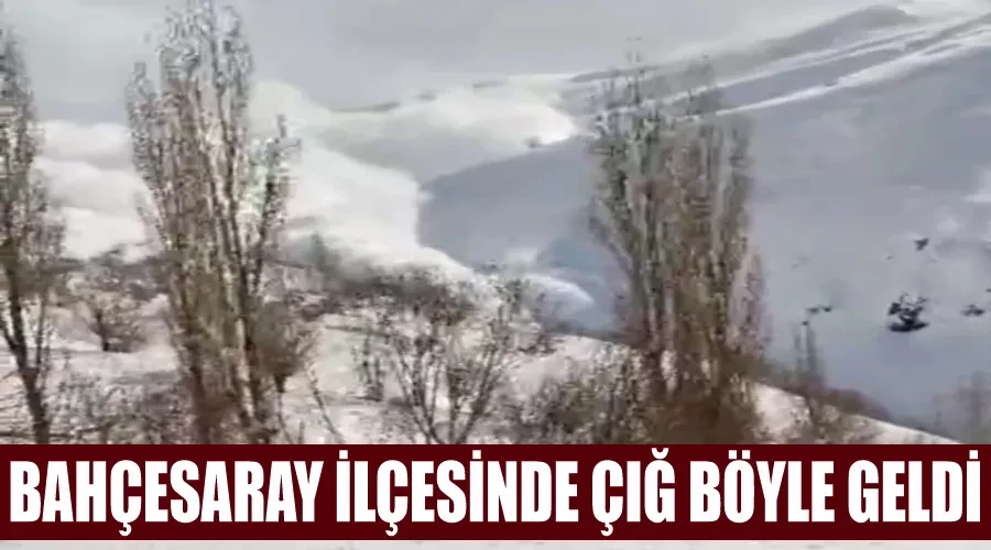 Bahçesaray ilçesinde çığ böyle geldi