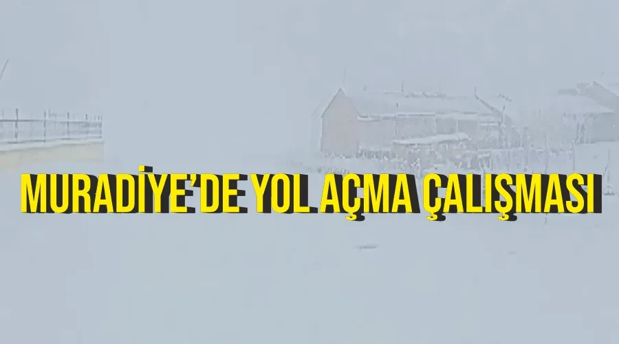 Muradiye’de yol açma çalışması