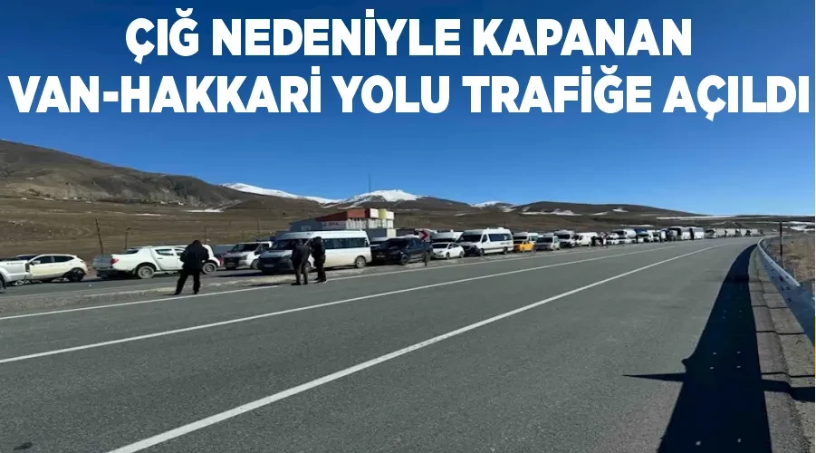 Çığ nedeniyle kapanan Van-Hakkari yolu trafiğe açıldı