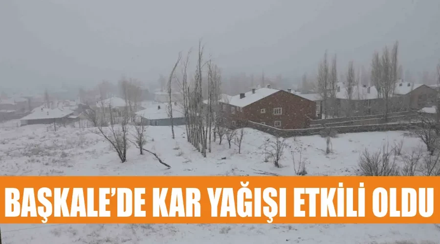 Başkale’de kar yağışı etkili oldu