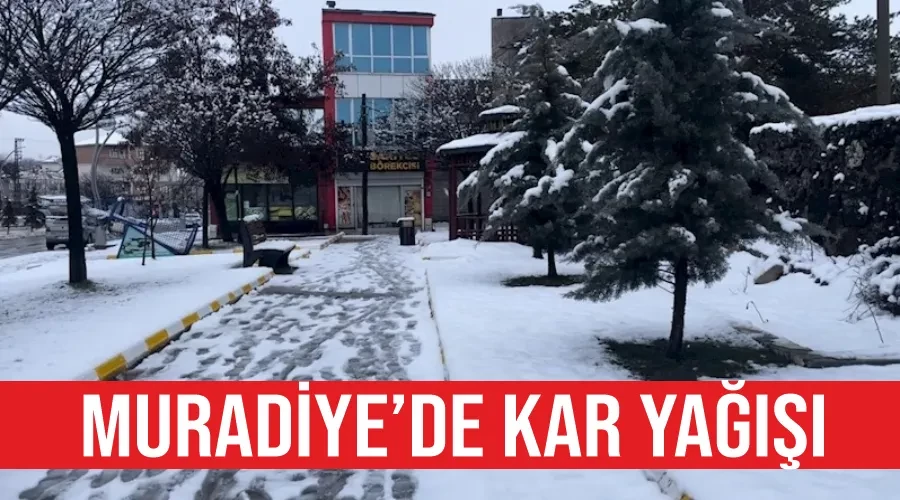 Muradiye’de kar yağışı