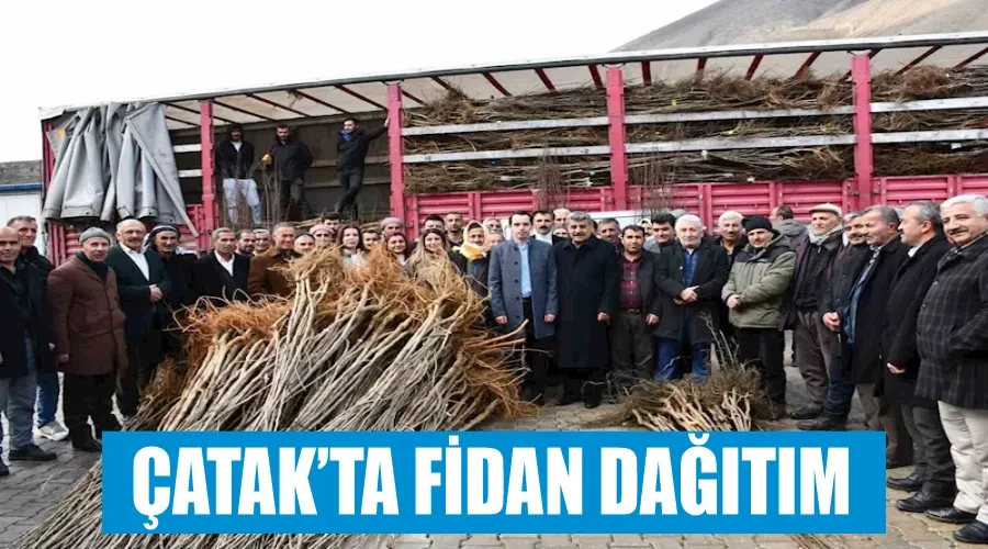 Çatak’ta fidan dağıtım