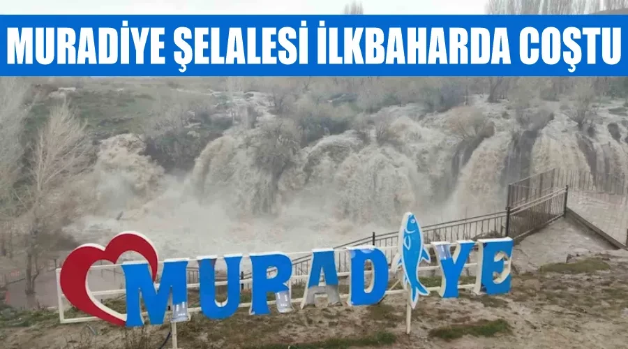 Muradiye Şelalesi ilkbaharda coştu