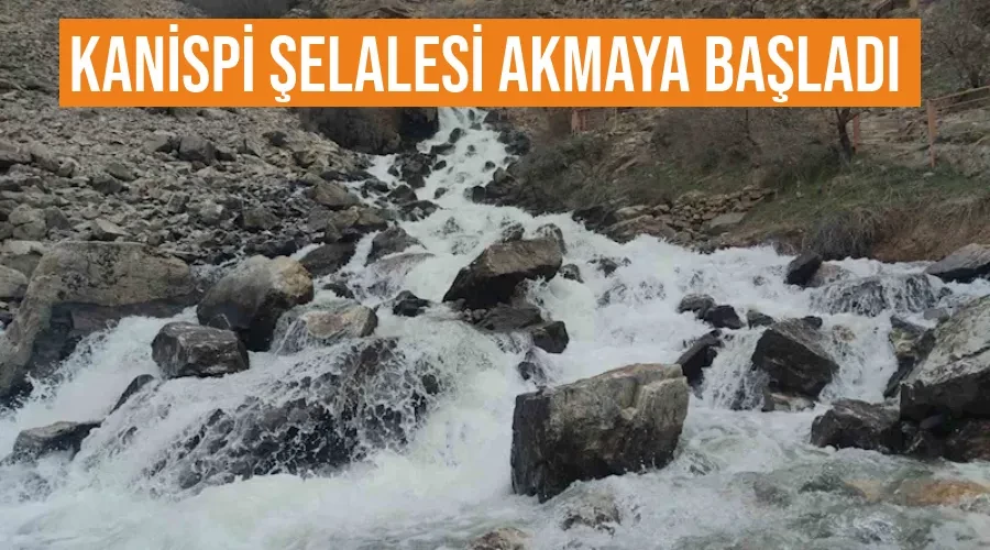 Kanispi şelalesi akmaya başladı