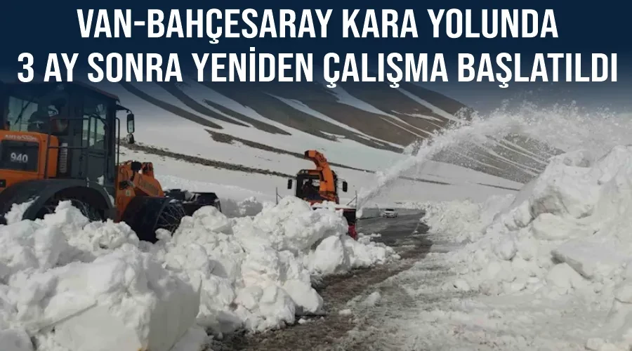 Van-Bahçesaray kara yolunda 3 ay sonra yeniden çalışma başlatıldı