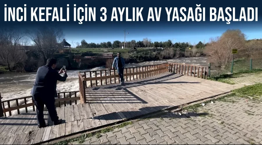 İnci kefali için 3 aylık av yasağı başladı