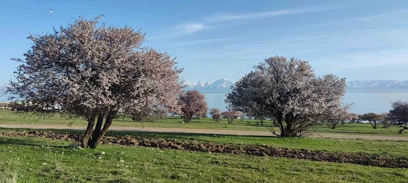 Van’da iki mevsim bir arada
