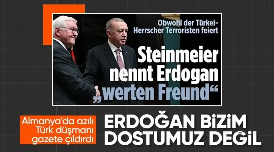 Alman basını, Steinmeier