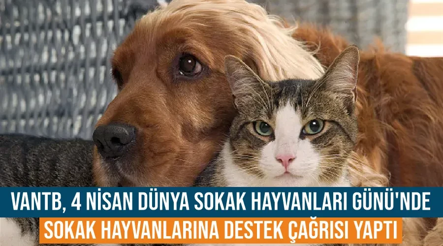 VanTB, 4 Nisan Dünya Sokak Hayvanları Günü