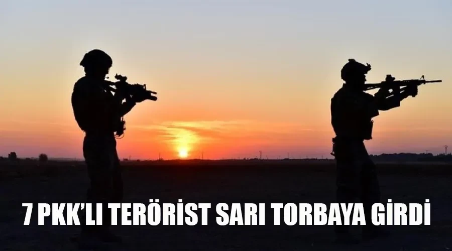 7 terörist etkisiz hale getirildi