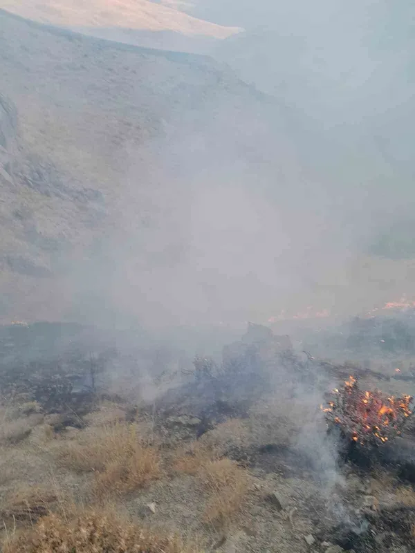 Başkale’de anız yangını