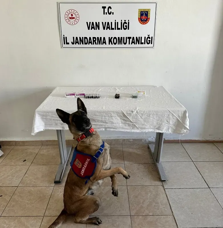 Van’da İran uyruklu şahsın üzerinden 380 adet sentetik hap ele geçirildi