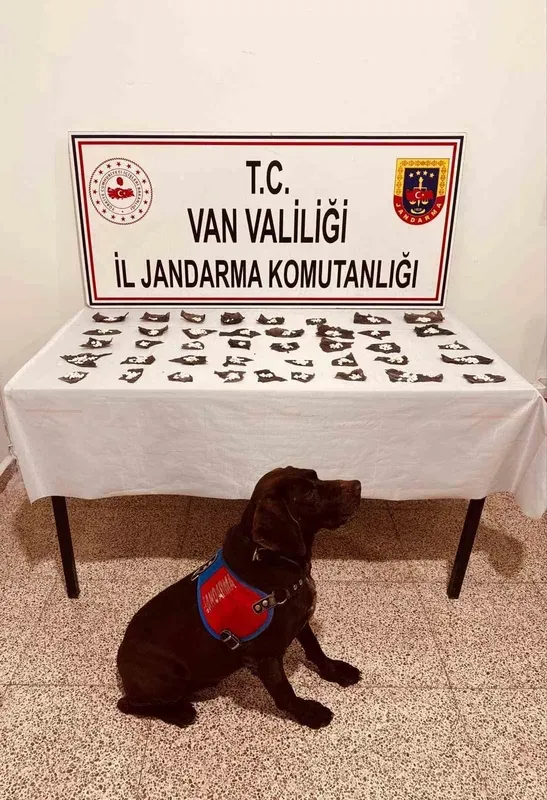 Kapsülün içinden ilaç yerine uyuşturucu çıktı