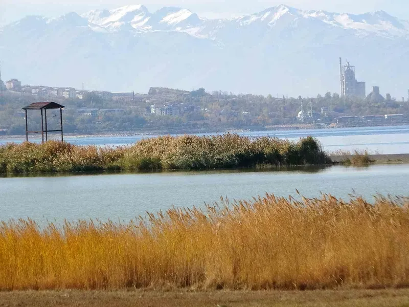Van Gölü Havzası, Türkiye’nin en fazla sulak alanına ev sahipliği yapıyor