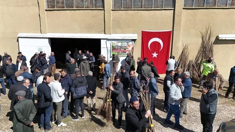 Erciş’te meyve fidanı dağıtıldı