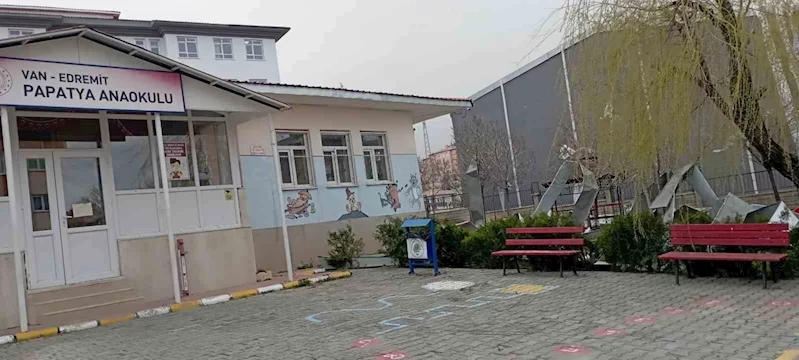 Van’da fırtına çatıları uçurdu, ağaçları ve direkleri devirdi