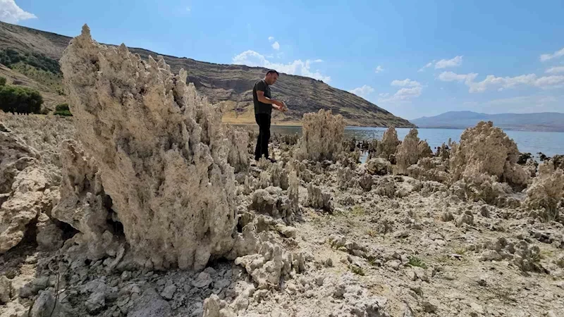 Van Gölü sahilleri mikrobiyalit tarlasına döndü
