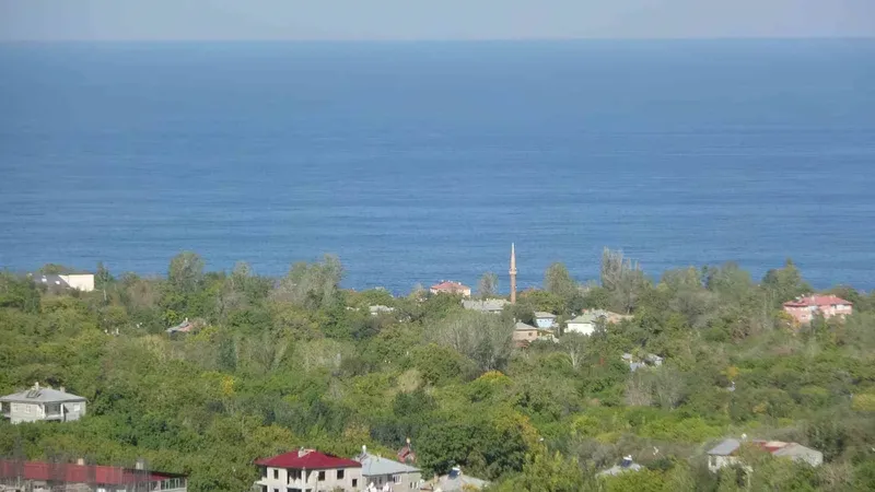 Van Gölü manzarası gayrimenkul piyasasını canlandırdı
