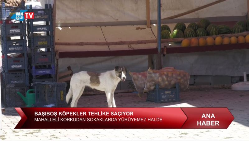 Beyüzümü Mahallesi