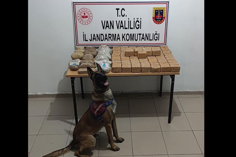 Van’da 1 milyon 700 bin kök hint keneviri ele geçirildi