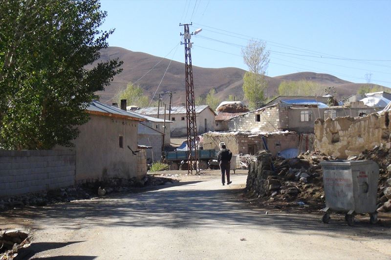 Van’da bir mahalleyi pireler bastı