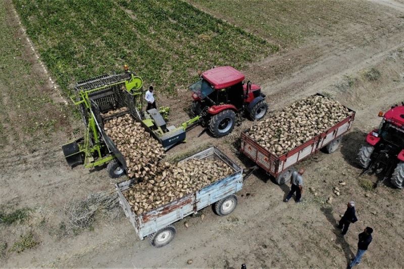 Şeker pancarı hasadında sona yaklaşıldı