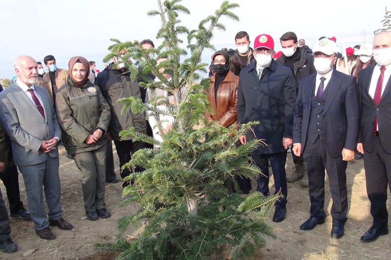 Van’da 40 bin ağaç toprakla buluşturuldu