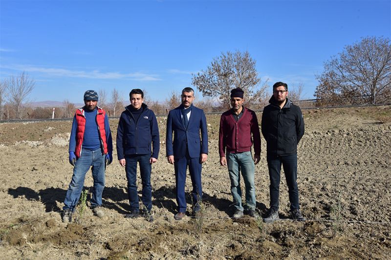 Ahlat Lavanta Parkı Projesi fotoğraf turizmine katkı sunacak