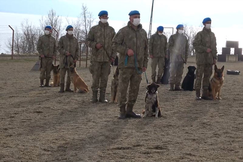 Türk Silahlı Kuvvetleri için yetiştirilen köpeklerin zorlu eğitimi