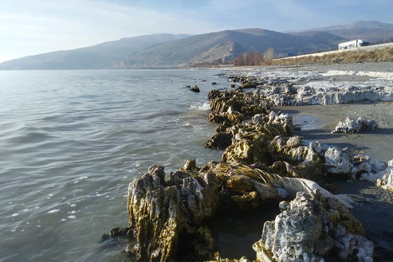 Van Gölü’nün çekilmesiyle mikrobiyalitler ortaya çıktı