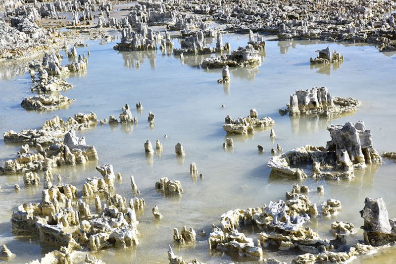 Van Gölü’nün çekilmesiyle yeni mikrobiyalitler gün yüzüne çıktı