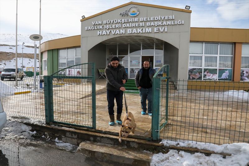 Büyükşehir Belediyesi yasak ırkları ücretsiz kısırlaştırıyor