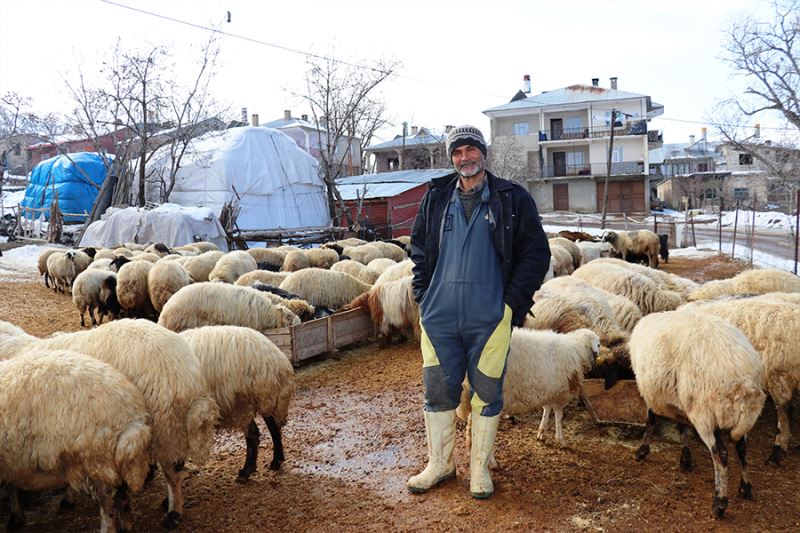 Yazın yaylalarda hayvanlarını otlatan besiciler, kışın hayvanlarını ahırlarda bakıp kar üzerinde besliyor
