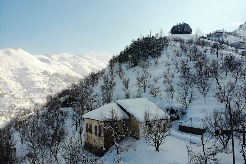 Muş’ta tek katlı evler kara gömüldü