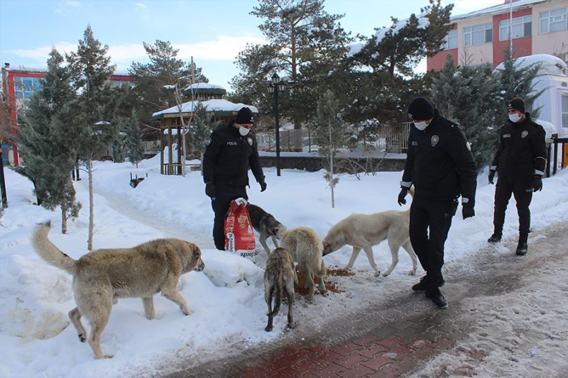 Polis ekiplerinden sokak hayvanlarına şefkat eli