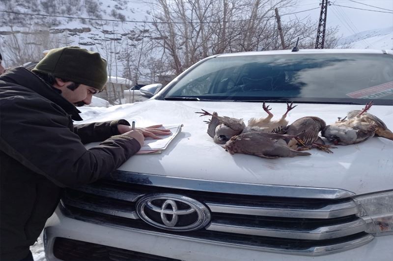 Kaçak keklik avcıları Van DKMP ekiplerine yakalandı