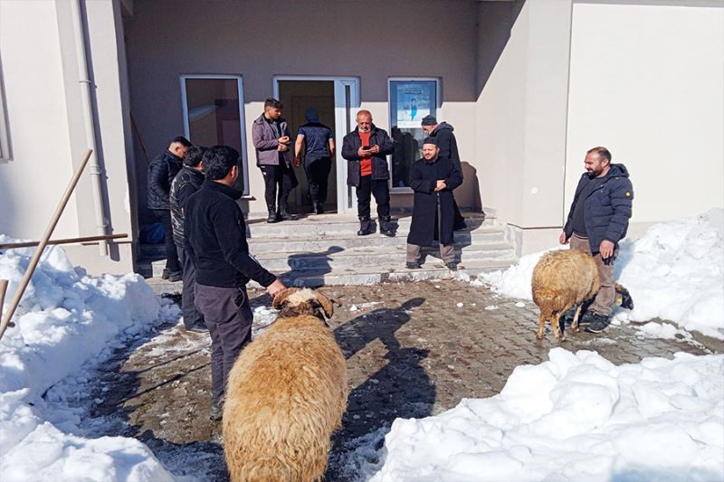 Mahalle sakinleri şükür hayvanı kesti