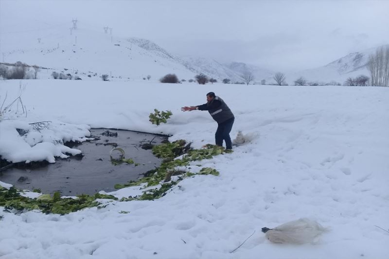 Van’da yaban hayvanlarına yem desteği