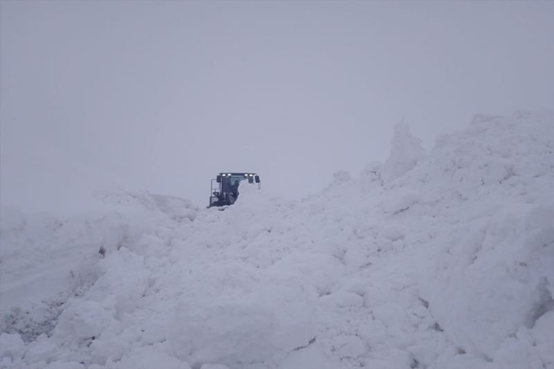 Hakkari