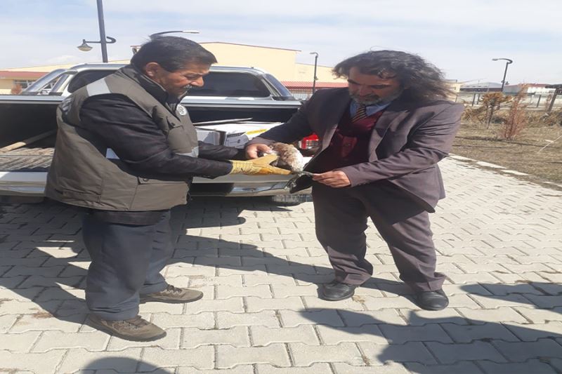 Yaralı bahri kuşu tedavi altına alındı