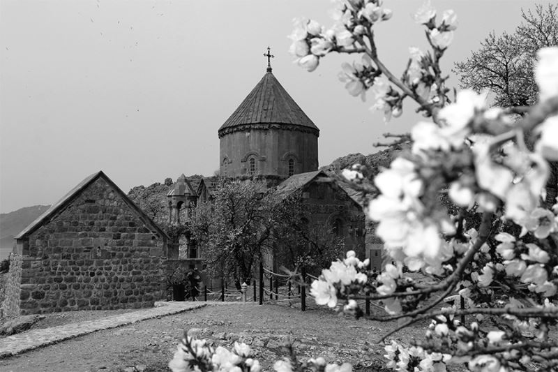 Akdamar Adası çiçek açtı