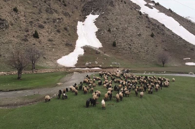 Bitlis’teki dağların bir yanı kar bir yanı bahar